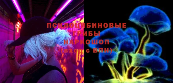соль ск Пролетарск