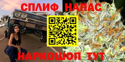прущие грибы Северобайкальск