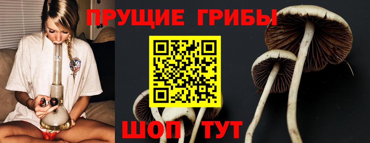 дарнет шоп  Вход с VPN  Алапаевск  Галлюциногенные грибы Magic Shrooms 